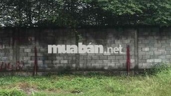 Bán đất ấp 4 xã Mỹ Yên tỉnh Tây Ninh(tỉnh Long An cũ)