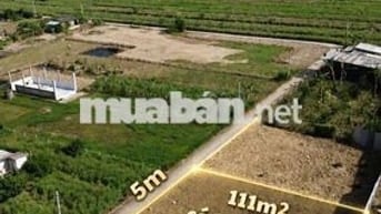 ĐẤT THỔ CƯ TRUNG TÂM CHỢ PHÚ THẠNH TÂN PHÚ ĐÔNG 🍃 GIÁ : 165 triệu/nền