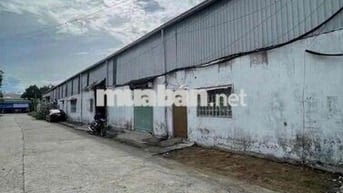 ❇️ Kho xưởng 1150m Phú Lợi, Thủ Dầu Một
