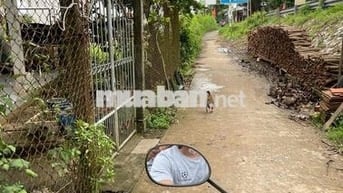 ĐẤT VƯỜN CHÍNH CHỦ CẦN BÁN GẤP