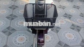Honda Rim Nâu trắng