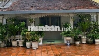 CHO THUÊ BIỆT THỰ BÙI THỊ XUÂN Q1 - DT: 9,5X25M - GIÁ 80TR