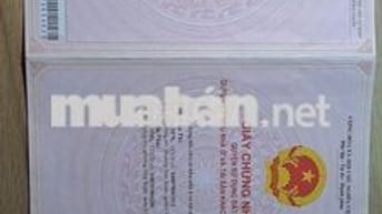 Bán đất mặt tiền đường (7m5) Hòa Xuân