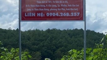 Công ty Đấu giá hợp danh Lam Sơn Sài Gòn THÔNG BÁO ĐẤU GIÁ TÀI SẢN