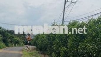 Bán đất tại cổng 2 Sb Long Thành , 3,2 tỷ, 1000m2, mặt tiền rộng 15m
