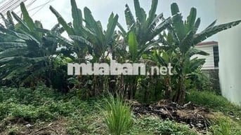CHÍNH CHỦ CẦN BÁN LÔ ĐẤT ĐẸP KDC PHÚ NHUẬN Q12
