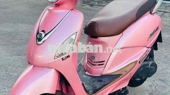 SYM Elizabeth Fi Hồng biển tp
