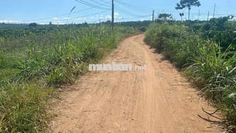 Gia đình có việc nên cần bán nhanh