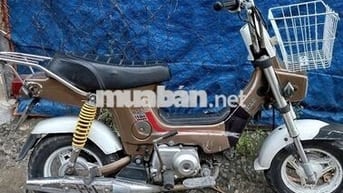 Honda Chaly 50cc Nâu