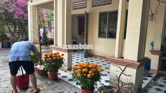 Ngộp nhà cấp 4 + vườn 159m2 SHR Đường Nguyễn Thị Lắng Củ Chi 1 tỷ 1