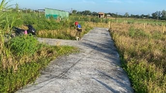 Can ban nen ngan 5 dai 20 đat sạch 