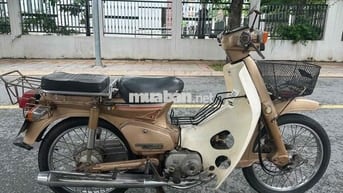 Honda Cub 82/84 Vàng đồng Đã sử dụng