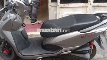 Honda Lead 2023 Xám