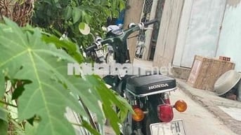 Honda Cub Cổ điển Xanh lá