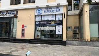 Cực hiếm CHO THUÊ SHOPHOUSE CHUNG CƯ Cityland Gò Vấp