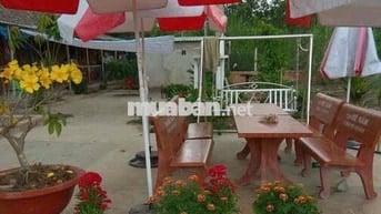 bán đất bình chánh 2000m2 kênh 5. sau trường tiểu học bình lợi