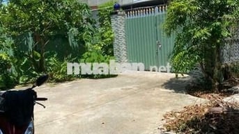 CHO THUÊ NHÀ PHƯỜNG TÂN TRIỀU GIÁ 6 TRIỆU