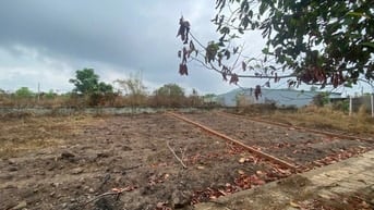 Công ty Đấu giá hợp danh Lam Sơn Sài Gòn THÔNG BÁO ĐẤU GIÁ TÀI SẢN