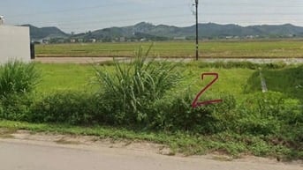Cho thuê 2 mảnh đất trống (thổ cư ) mặt đường QL12B có DT 132 mỗi mảnh