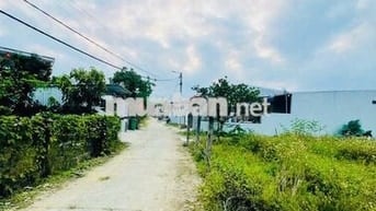 💥 CƠ HỘI ĐẦU TƯ & AN CƯ CỰC HOT – BÁN ĐẤT THÔN THÁI LAI, HOÀ NHƠN! 💥
