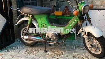 Honda Chaly 78/50 Xanh lá Đã sử dụng