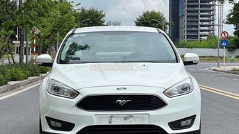 Focus 2019 trend