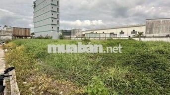 Bán 8 lô đất ngay ngã 3 Nguyễn Cửu Phú và Thế lữ full thổ cư