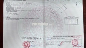 bán đất mặt tiền Tam Tân gần Vinhome HocMon, KCN  Lộc Giang