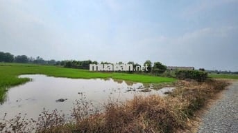 Tân Thạnh Tây, Củ Chi (Chính Chủ bán giá nhỉnh 3 tỳ)