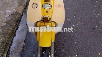  Max Vàng, Trắng Số sàn