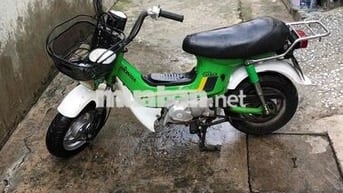Honda Chaly 81 Xanh lá, Trắng