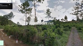 CHUYỂN NHƯỢNG 6.000M² VƯỜN BẢN PÁT, CHIỀNG SINH