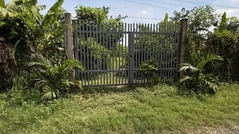 Bán 10300m2 đất vườn tại xã Tân Nhựt, gần Bệnh viện Nhi Đồng Thành Phố