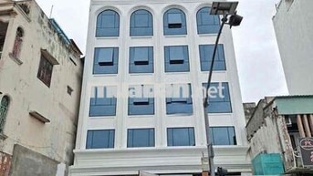 Cho Thuê Building MT Phổ Quang 2H 8L 12x31
