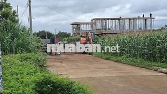 Bán đất đối diện KCN Tân An Buôn Ma Thuột-giá 1,48 tỷ