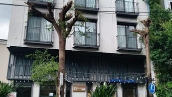 Bán nhà hẻm xe hơi đường Lê Thị Bạch Cát, Phường 11, Quận 11