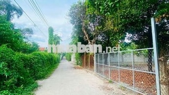 ĐẤT VƯỜN BÌNH NHÂM 05 ,LÁI THIÊU ,TP HCM 