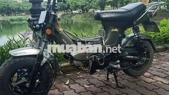Honda Chaly