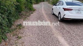 CẦN BÁN 1 CÔNG ĐẤT TẠI XUÂN BẢO, CẨM MỸ