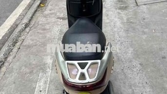 Honda Lead 2009 Vàng-Đen