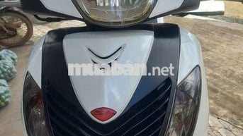 Honda SH 150 2014 Trắng