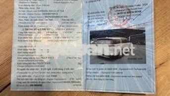 Kia Carnival Luxury 2.2D 2022 Trắng Tự động