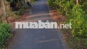 Cần bán nền nhà view sông thích hợp nghĩ dưỡng
