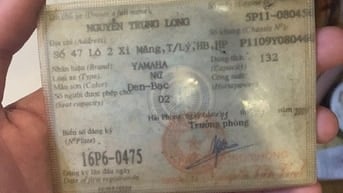Nouvo RC ngoại hình còn mới và đẹp