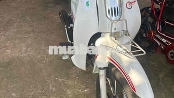 Cup 50cc Trắng Mới