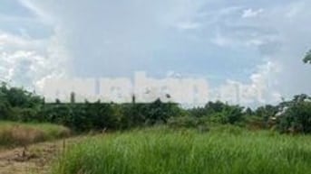 ĐẤT NỀN THỔ CƯ CHÍNH CHỦ ĐƯỜNG TỈNH 903