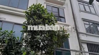 Cho thuê nhà Mậu Lương 50m² 5.5 tầng 6PN – Vỉa hè, Ô tô tránh, 13 Tr