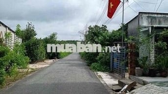 Đất ngộp chỉ gần 2tr/m2 tại Long Tân, Dầu Tiếng nay là TP HCM