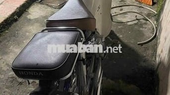 Honda Cub 50 2022 Xanh Trắng