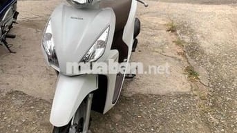 Honda Vision 2019 Trắng 24019 km